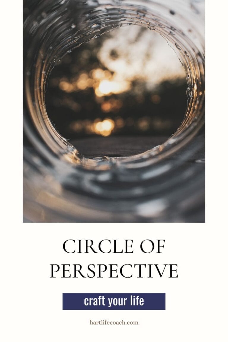 circle of perspective